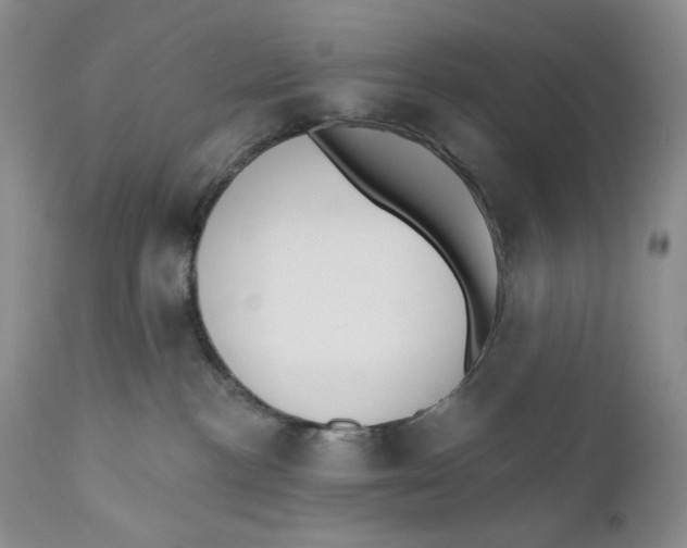 X0000110740188200907061016