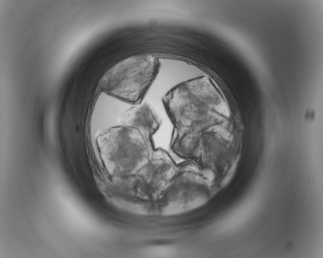 X0000110740189200907061016