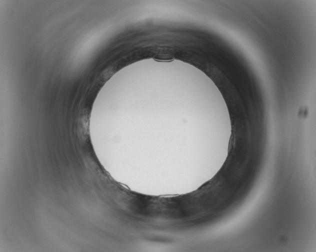 X0000110740190200907061016