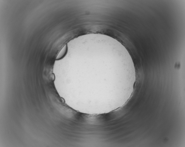 X0000110740191200907061016