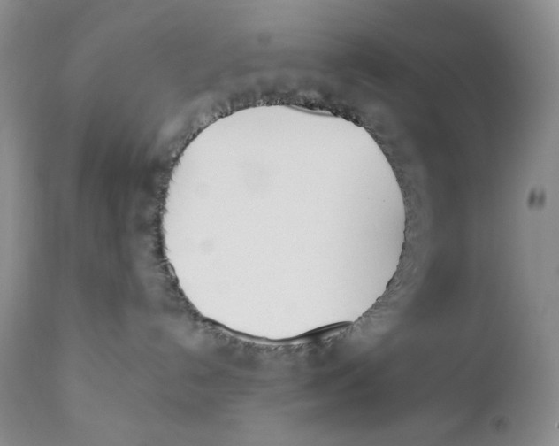 X0000110740192200907061016