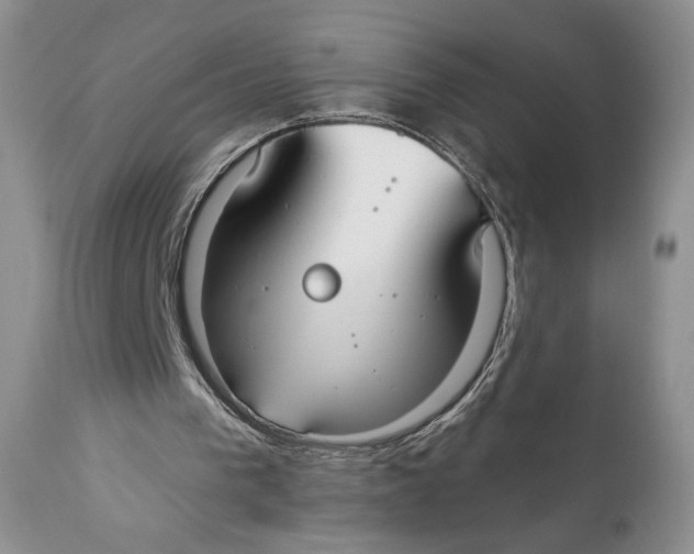X0000110740193200907061015