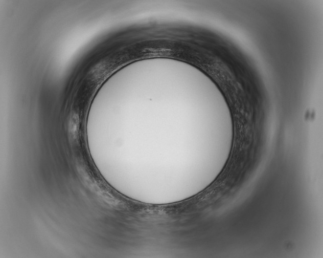 X0000110740194200907061015