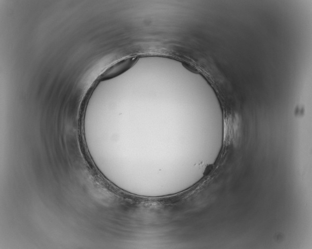 X0000110740195200907061015