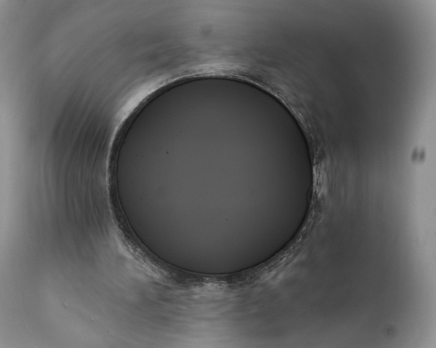 X0000110740196200907061015