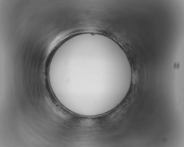 X0000110740198200907061015