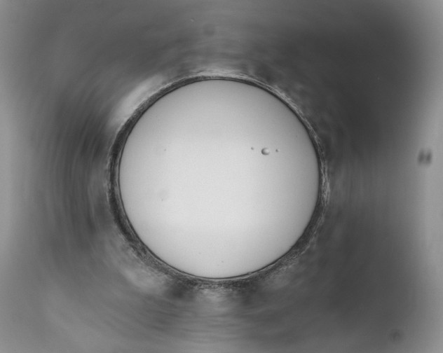 X0000110740199200907061015