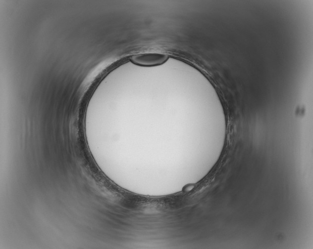 X0000110740200200907061015