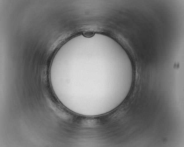 X0000110740202200907061015