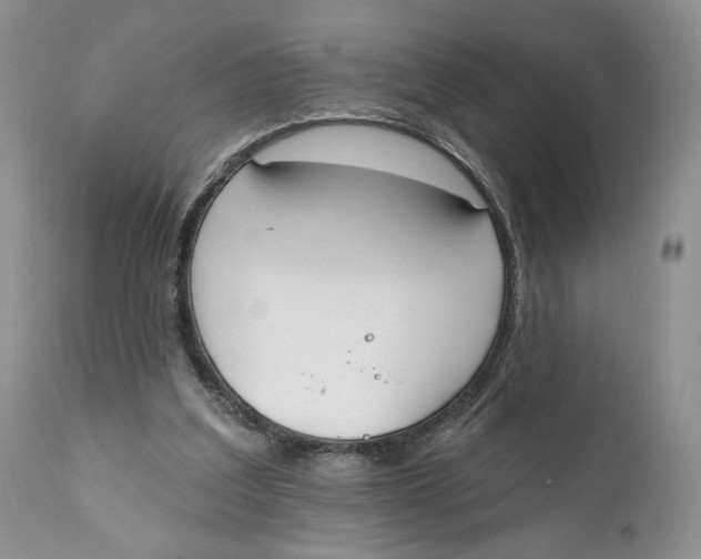 X0000110740203200907061015