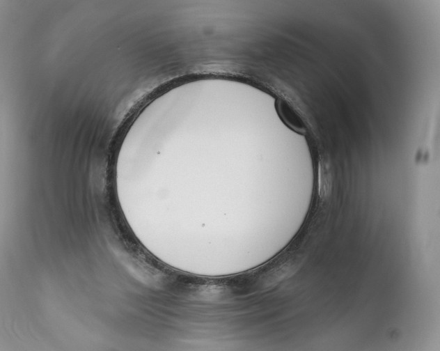 X0000110740204200907061015