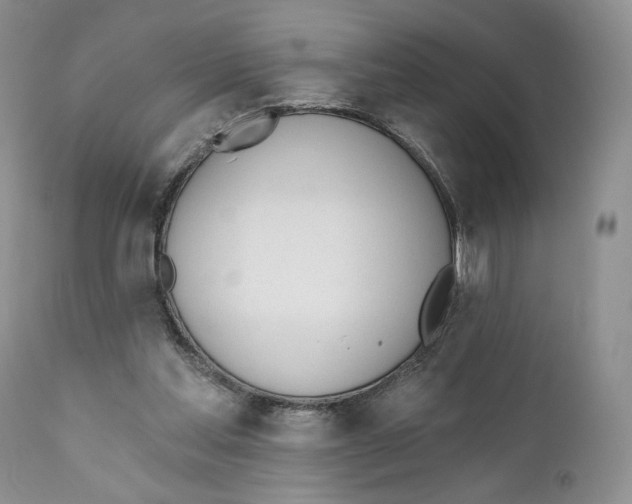 X0000110740205200907061015