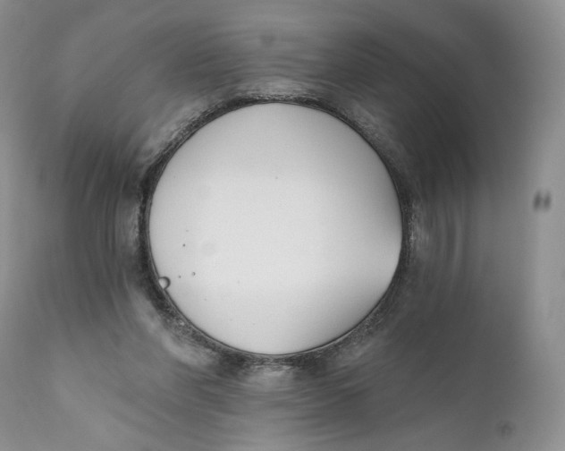 X0000110740206200907061015
