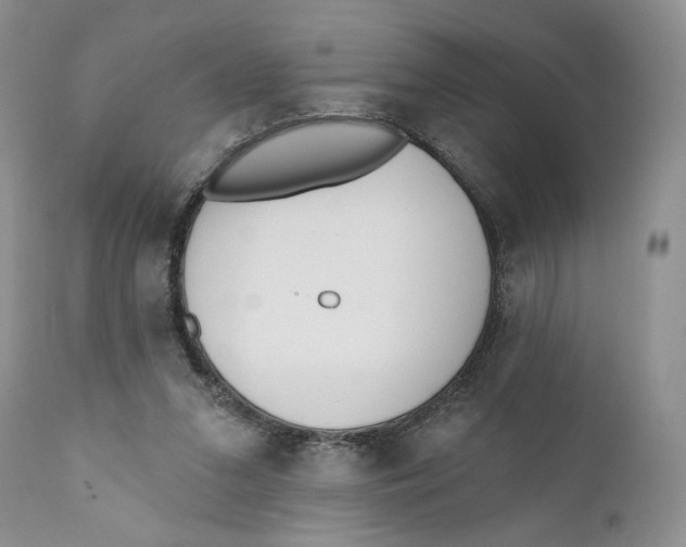 X0000110740207200907061015