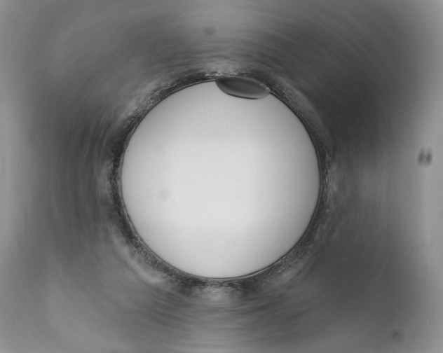 X0000110740209200907061015