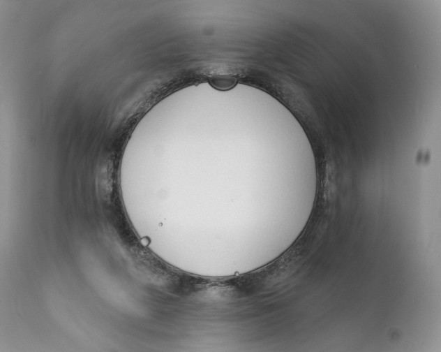 X0000110740210200907061015