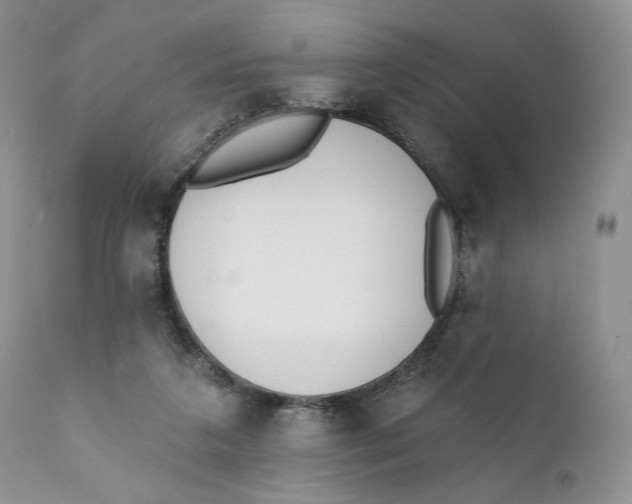 X0000110740211200907061015