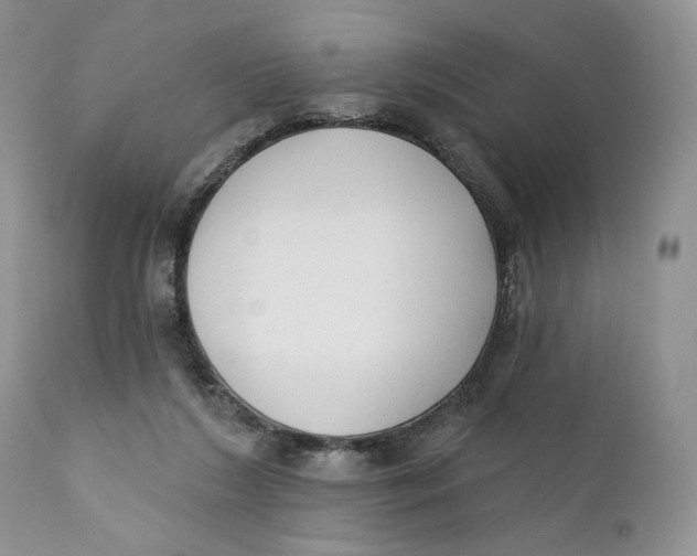 X0000110740212200907061015