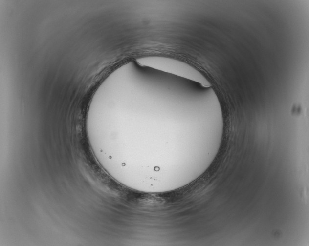 X0000110740215200907061014