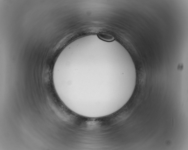 X0000110740216200907061014