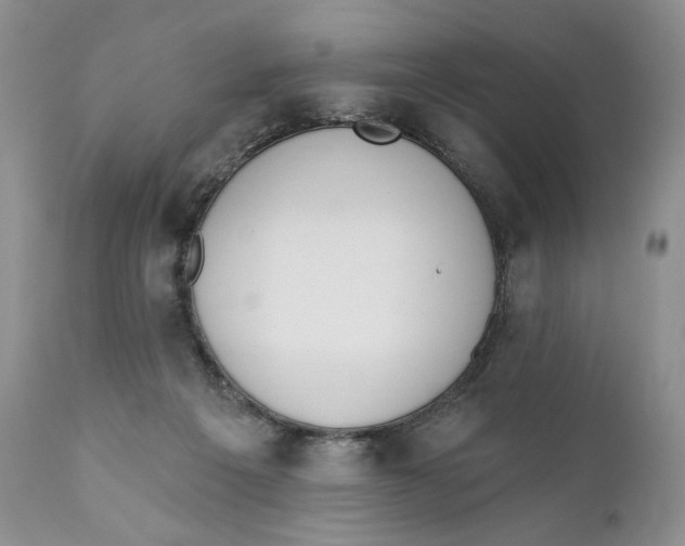 X0000110740217200907061014