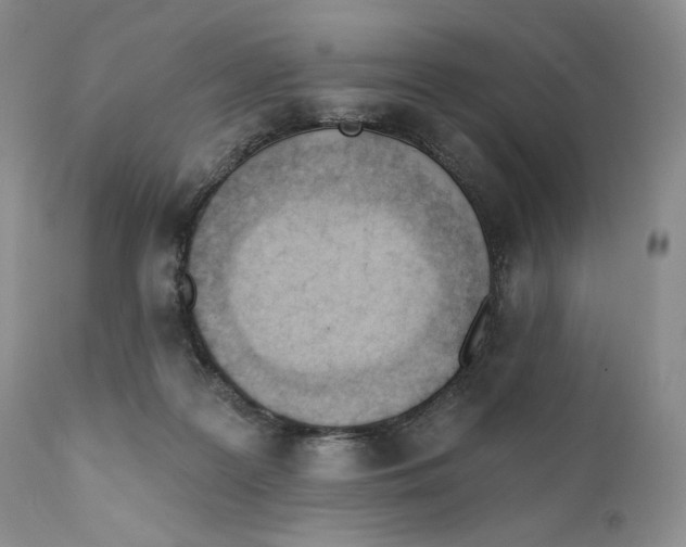 X0000110740219200907061014
