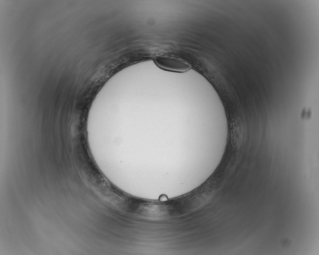 X0000110740221200907061014