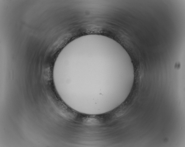 X0000110740224200907061014