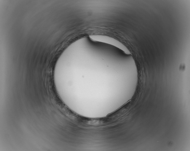 X0000110740225200907061014