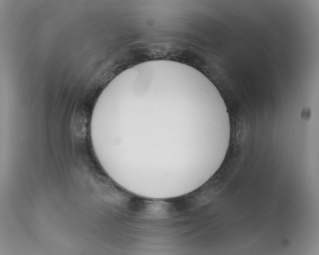 X0000110740226200907061014