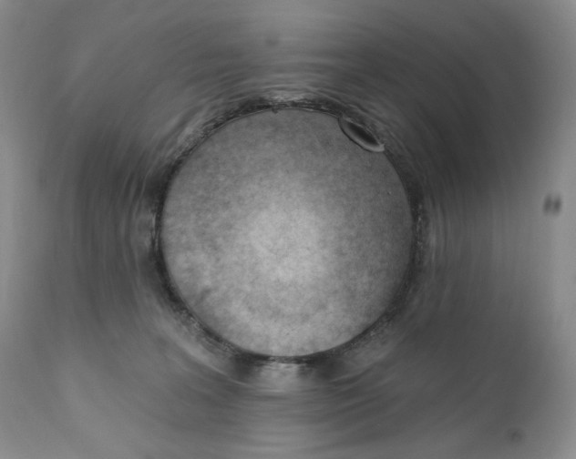 X0000110740227200907061014