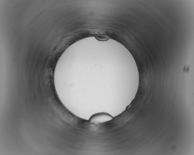 X0000110740229200907061014