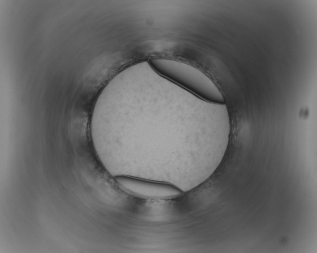 X0000110740231200907061014
