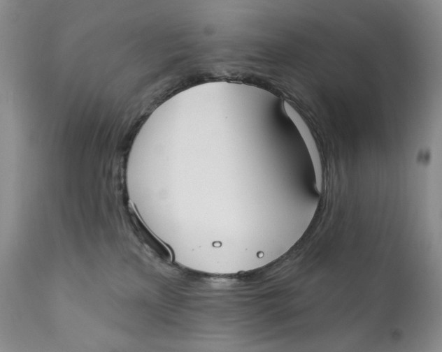 X0000110740233200907061014