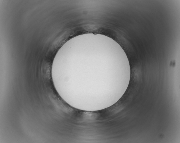 X0000110740234200907061014
