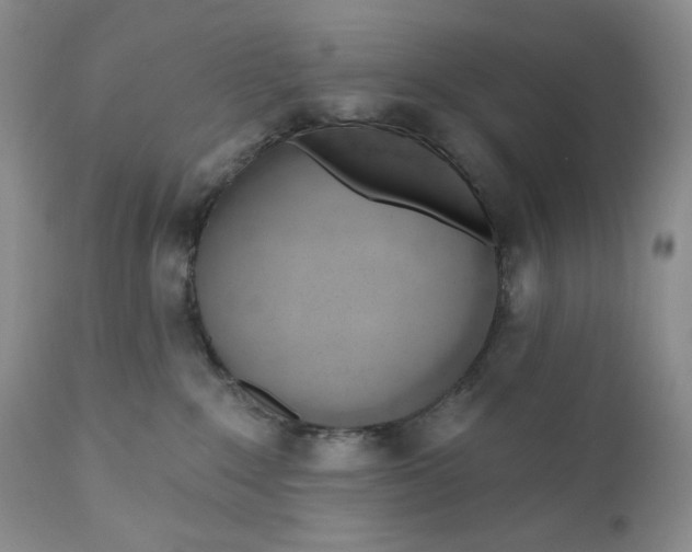 X0000110740235200907061014