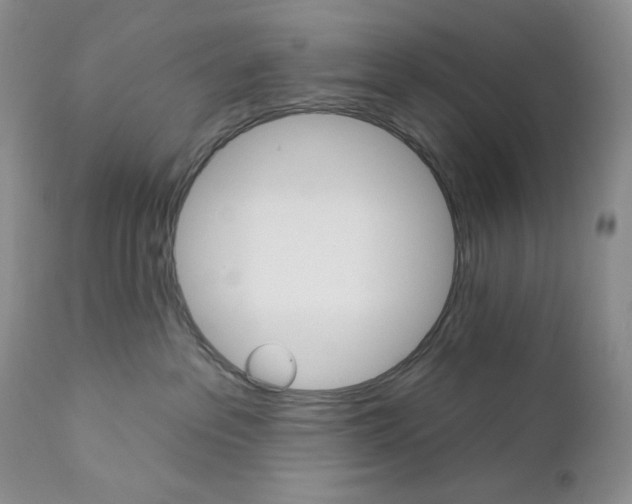 X0000110740237200907061014