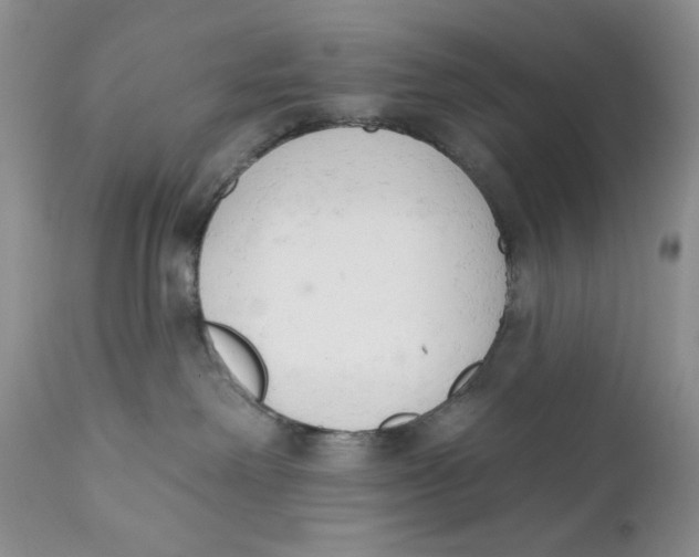 X0000110740238200907061014