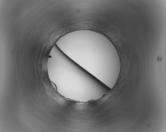 X0000110740240200907061014