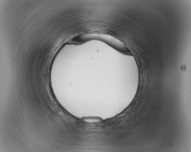 X0000110740241200907061013