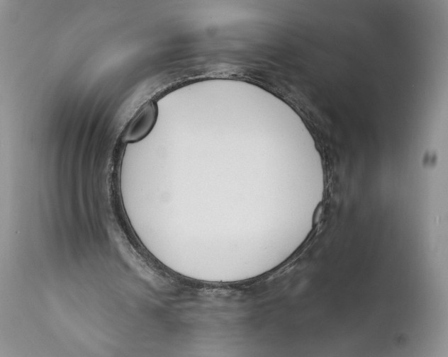 X0000110740242200907061014