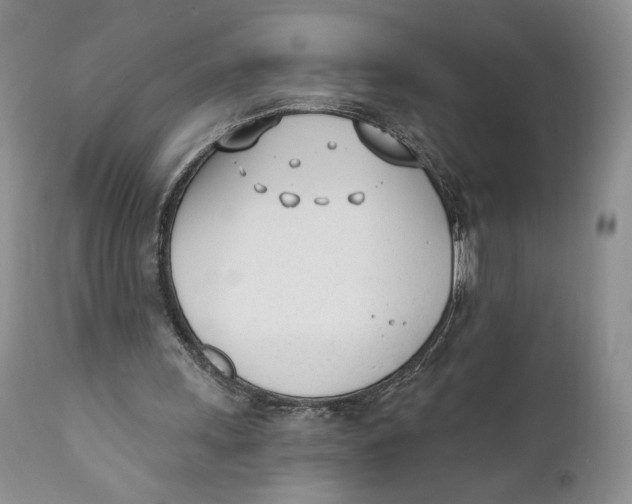 X0000110740243200907061014