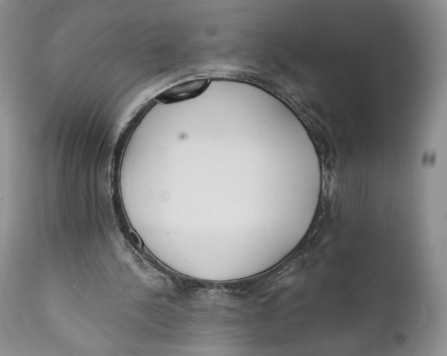 X0000110740244200907061014