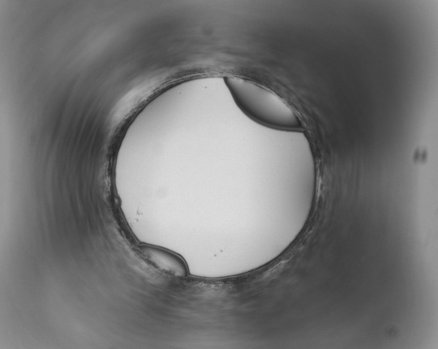 X0000110740245200907061014