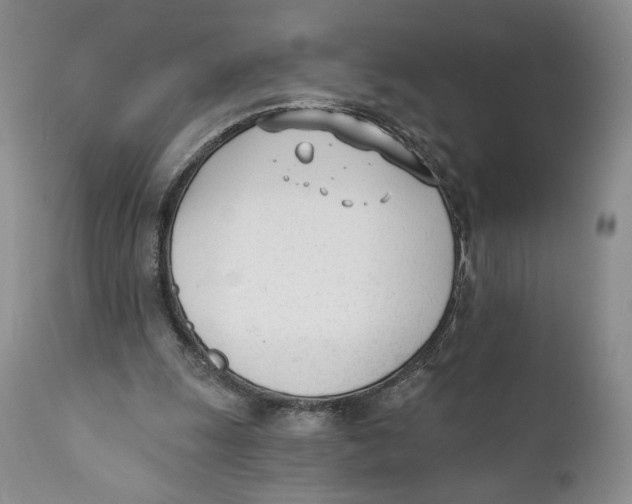 X0000110740247200907061014