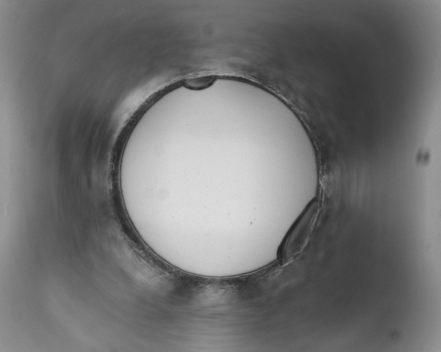 X0000110740248200907061014