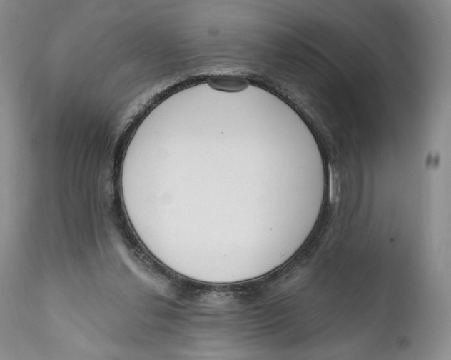 X0000110740252200907061014