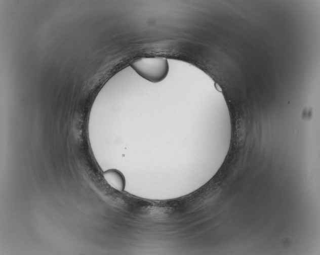 X0000110740255200907061014