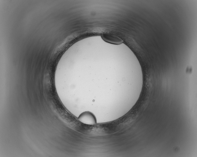 X0000110740256200907061014