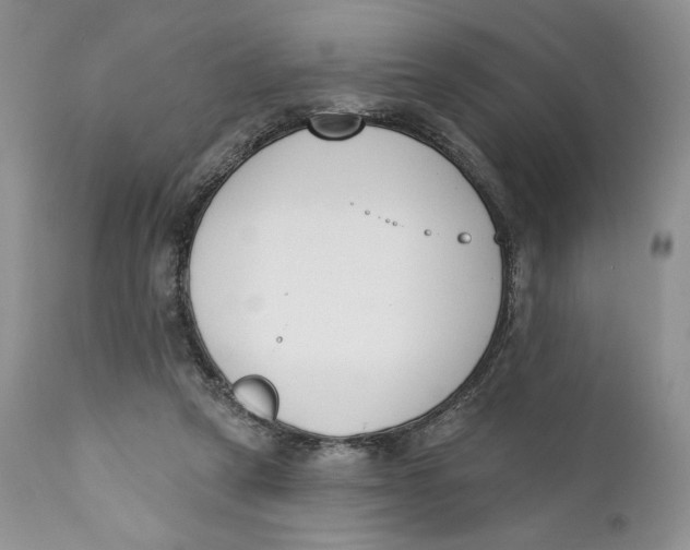 X0000110740257200907061014